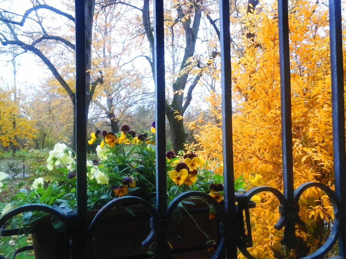 Bed and Breakfast Ca Morari Argenta Zewnętrze zdjęcie