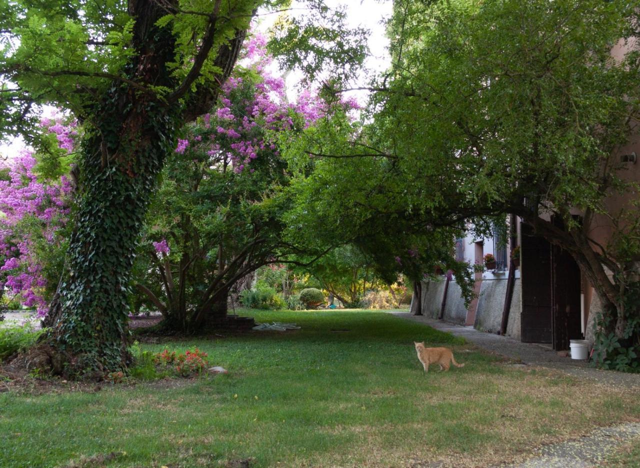 Bed and Breakfast Ca Morari Argenta Zewnętrze zdjęcie
